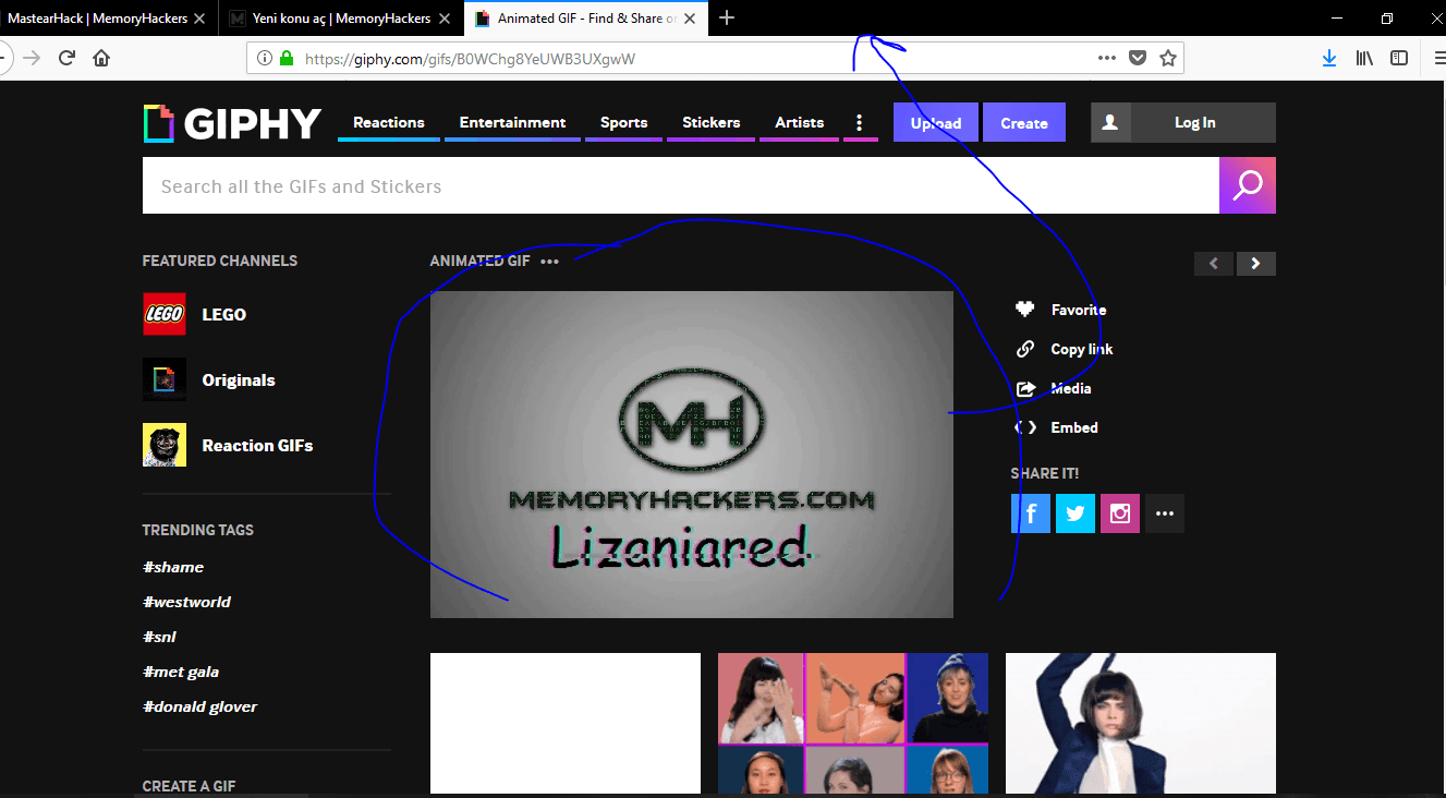 123.PNG