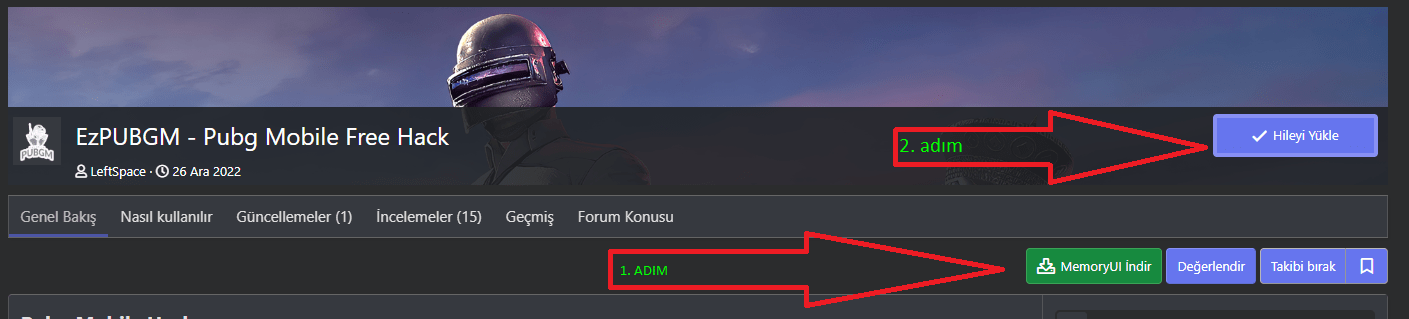 13.png