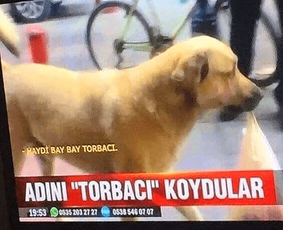 1539956811893.png