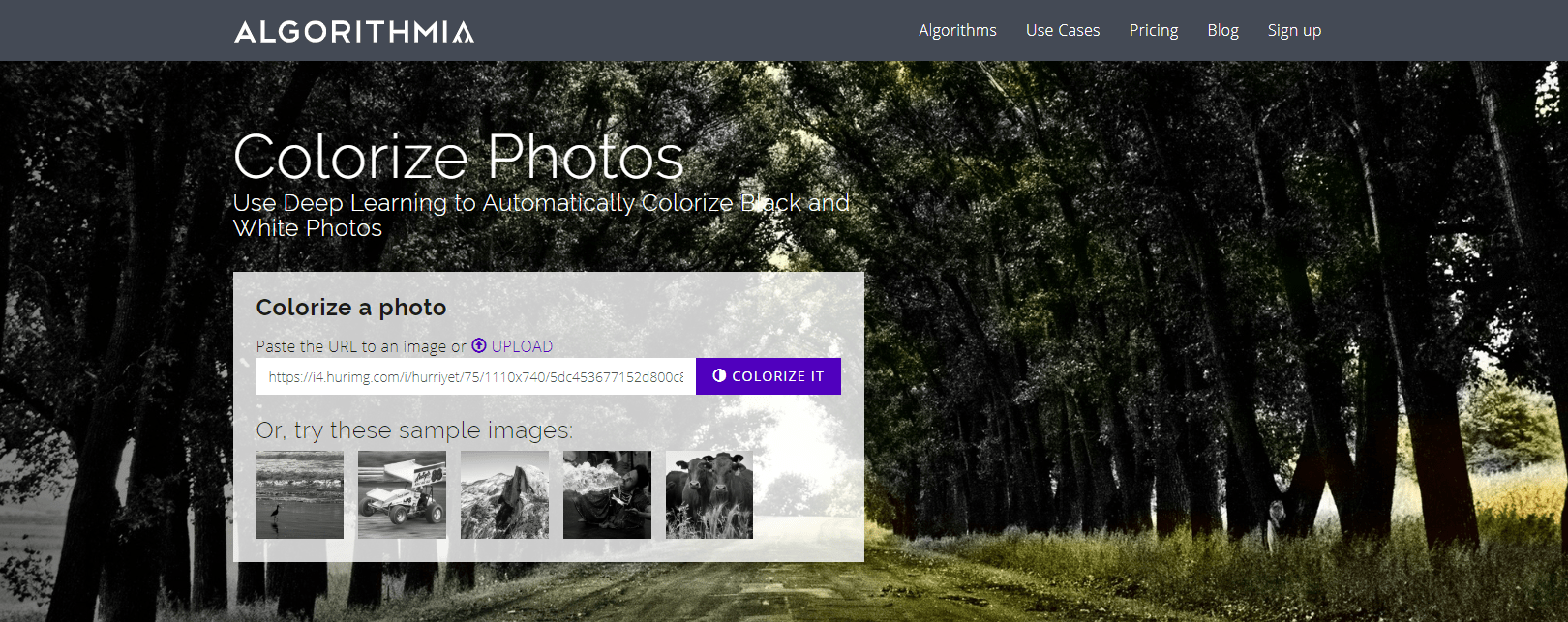 1582486290709.png