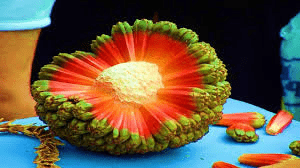 1589110063351.png