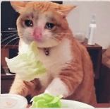 1592823301106.png