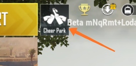 16.jpg