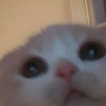 1628350280393.png