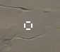 1629744246488.png