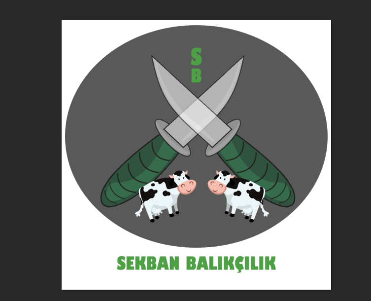 1655453872390.png