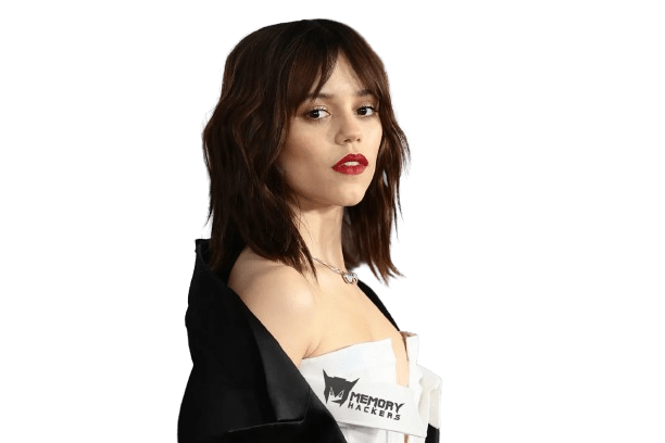 1700909173099.png