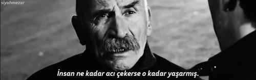18.gif