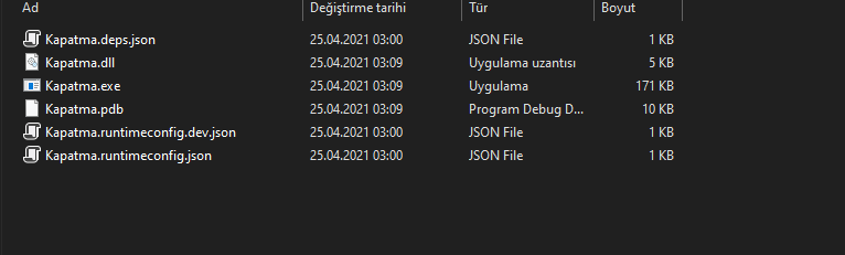 1resim.PNG