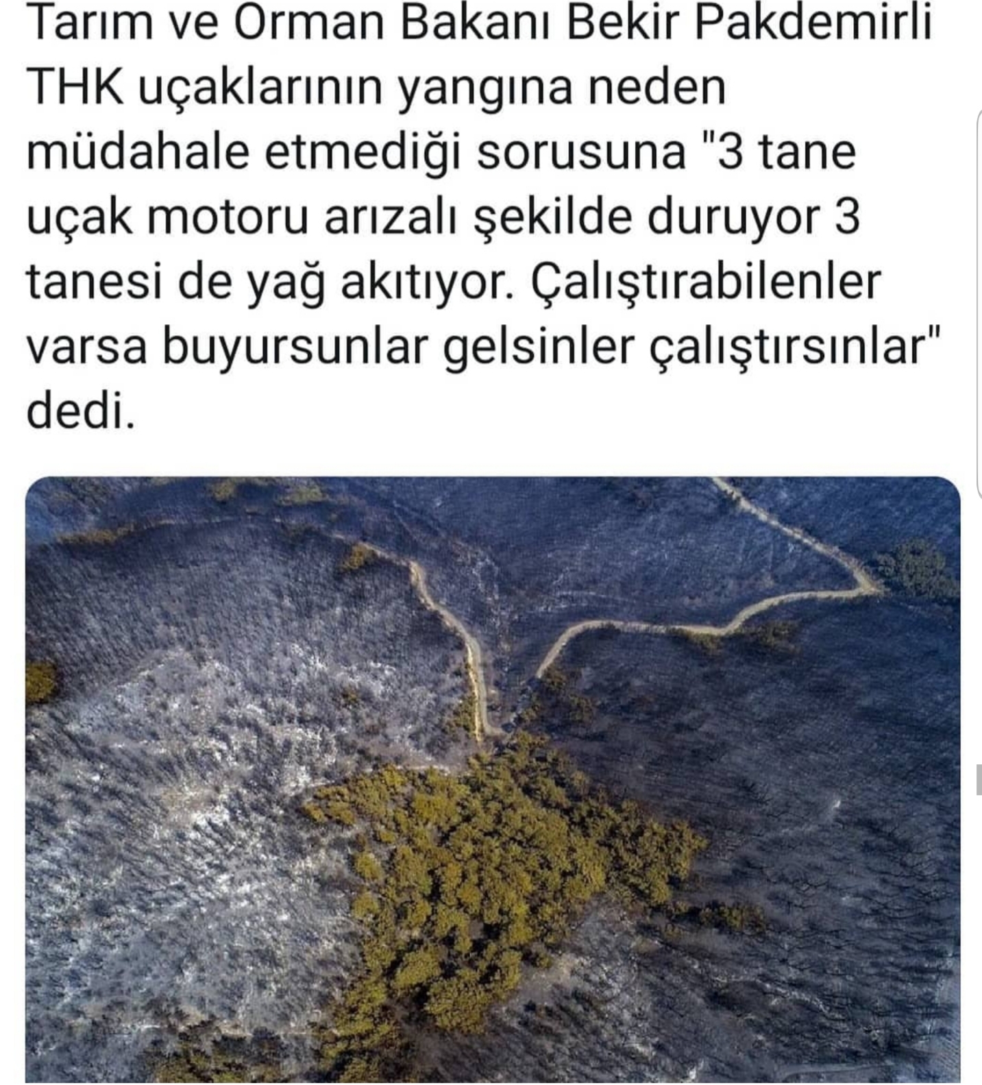 20190822_232148.jpg