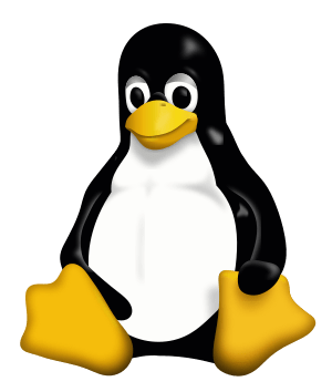 300px-Tux.svg.png