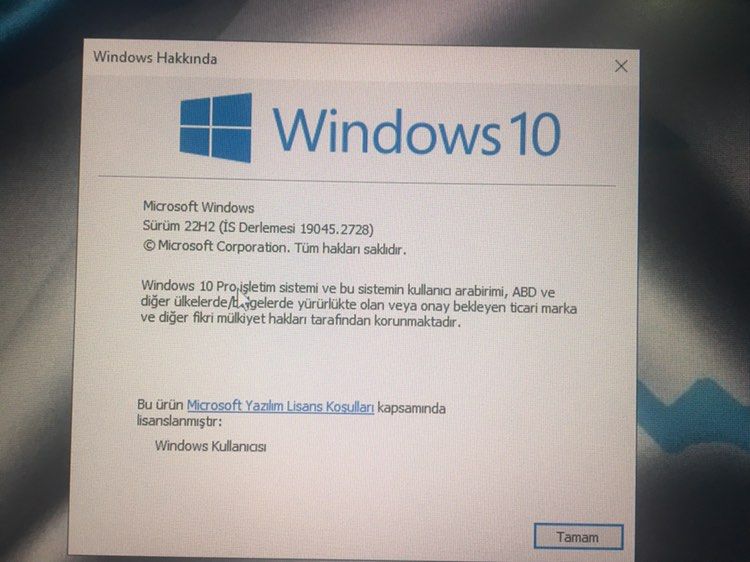336621936_125993783760406_1102773312798648111_n.jpg