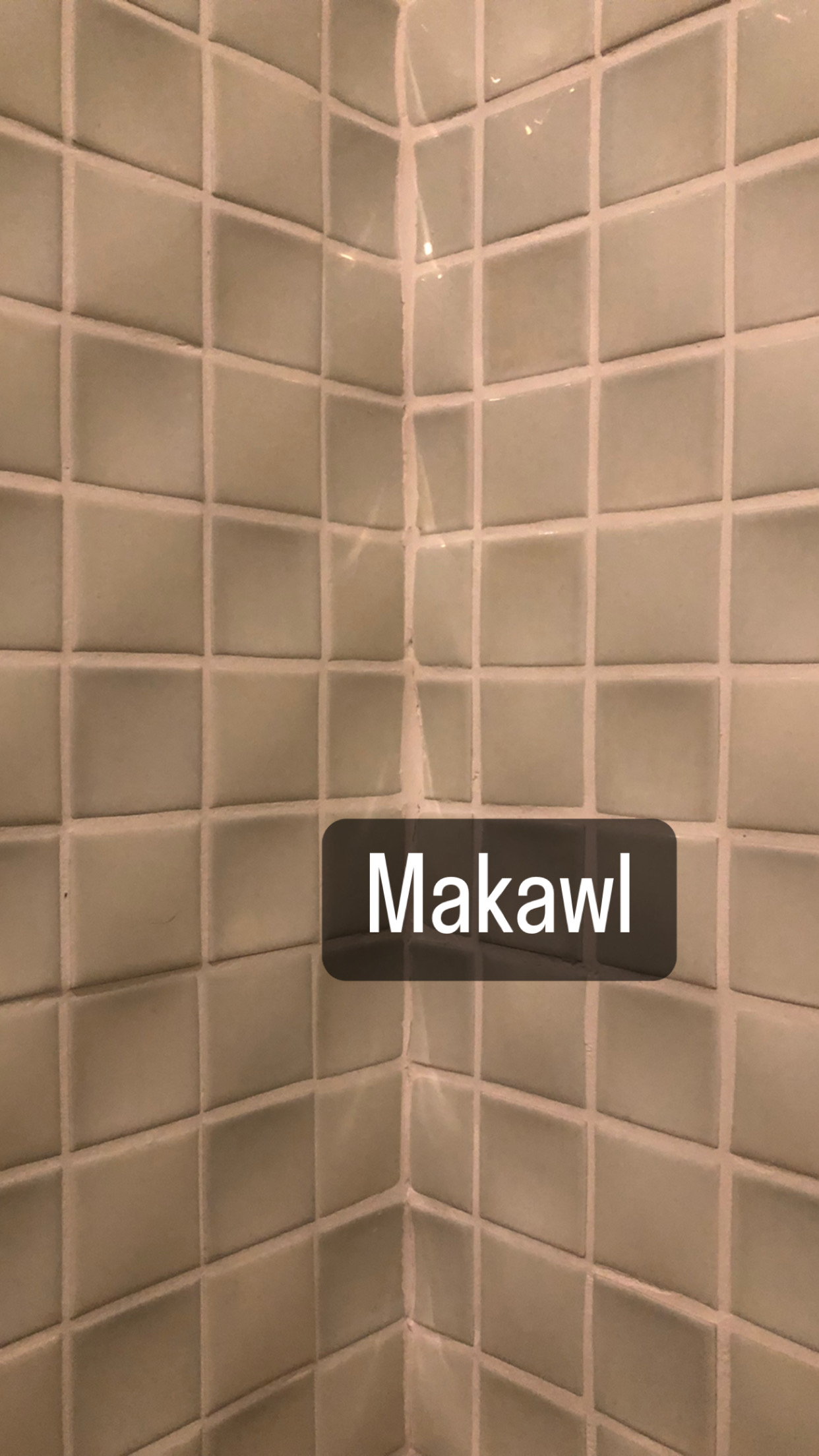 41315059-E5D6-427A-86C4-12F95BE2608C.jpeg