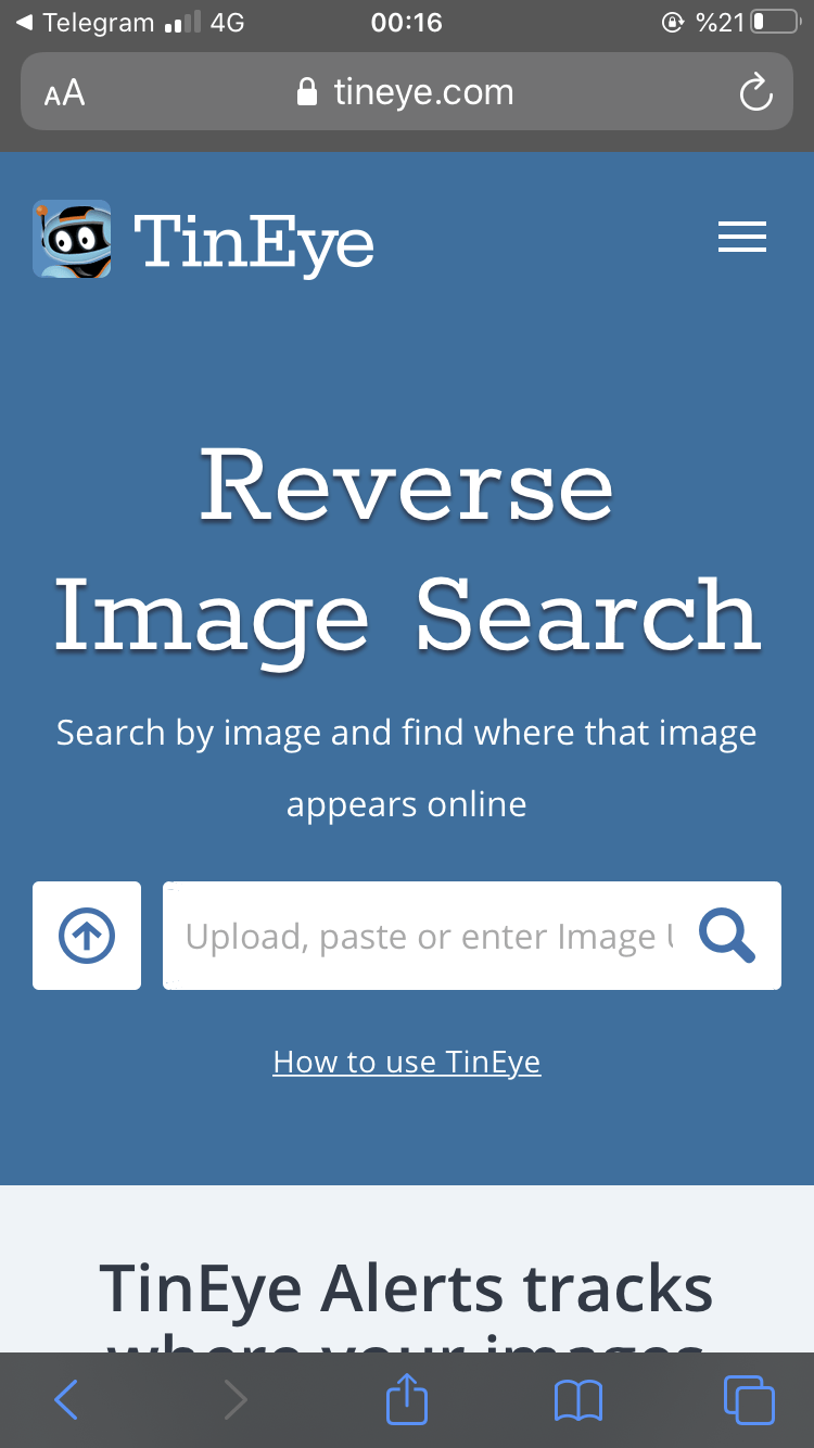 5393F3CC-6BEB-40C6-8236-00F383B7BD7E.png