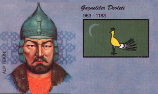 8136204.jpg