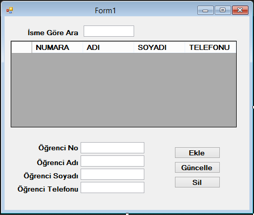 access_baglanti_form.png