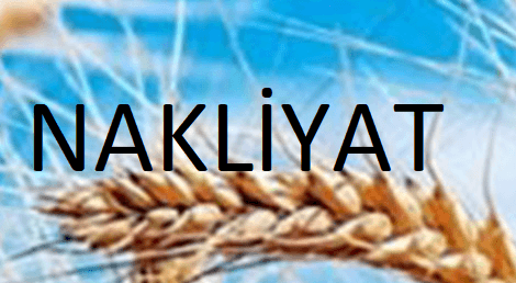 Adsız.png