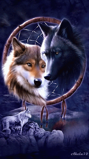 animated-wolf-gif (63).gif