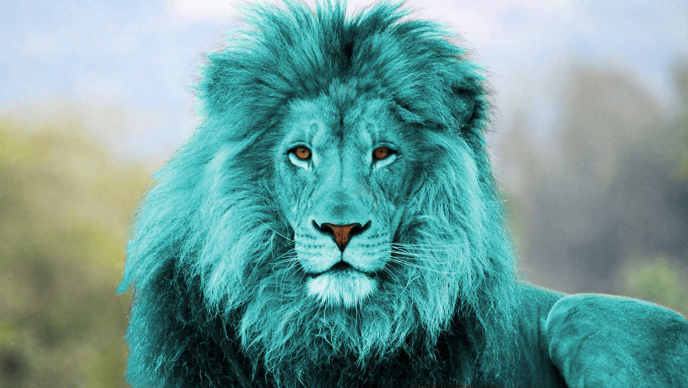 cyan-aslan.png