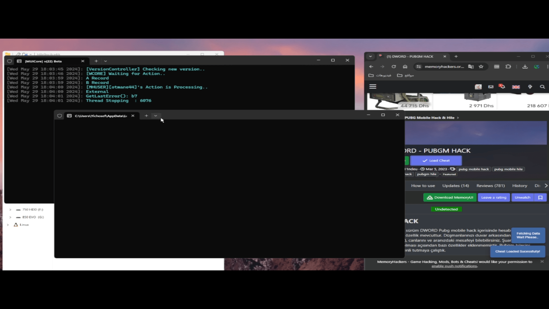 Desktop Screenshot 2024.05.29 - 18.24.07.69.png