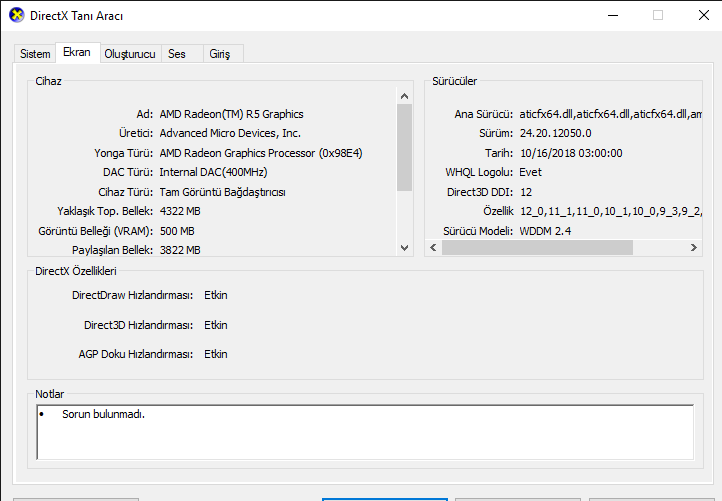 DirectX Tanı Aracı 19.06.2020 15_20_05.png