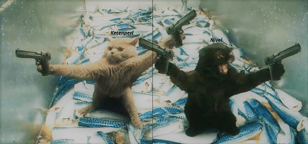 duo.png