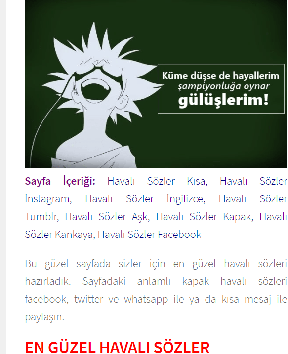Ek Açıklama 2020-06-19 155704.png