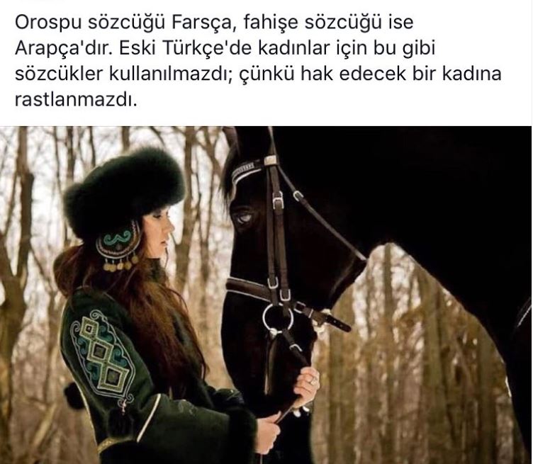 Ekran Alıntısı.JPG