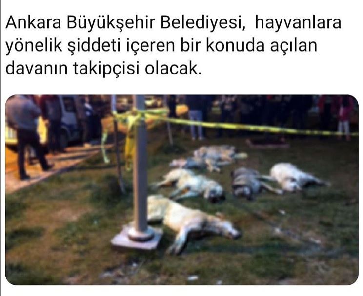 Ekran Alıntısı.JPG