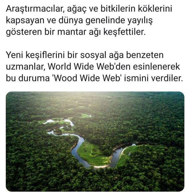 Ekran Alıntısı.JPG