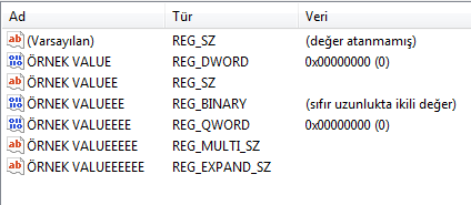 Ekran Alıntısı.PNG