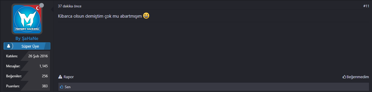 Ekran Alıntısı.PNG