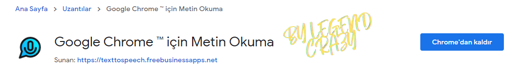 Ekran Alıntısı2.PNG