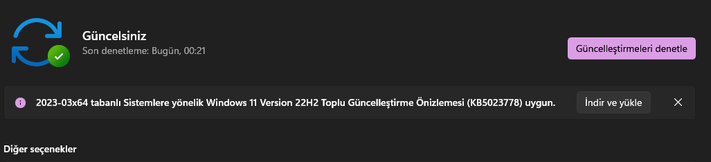Ekran görüntüsü 2023-04-11 002325.png