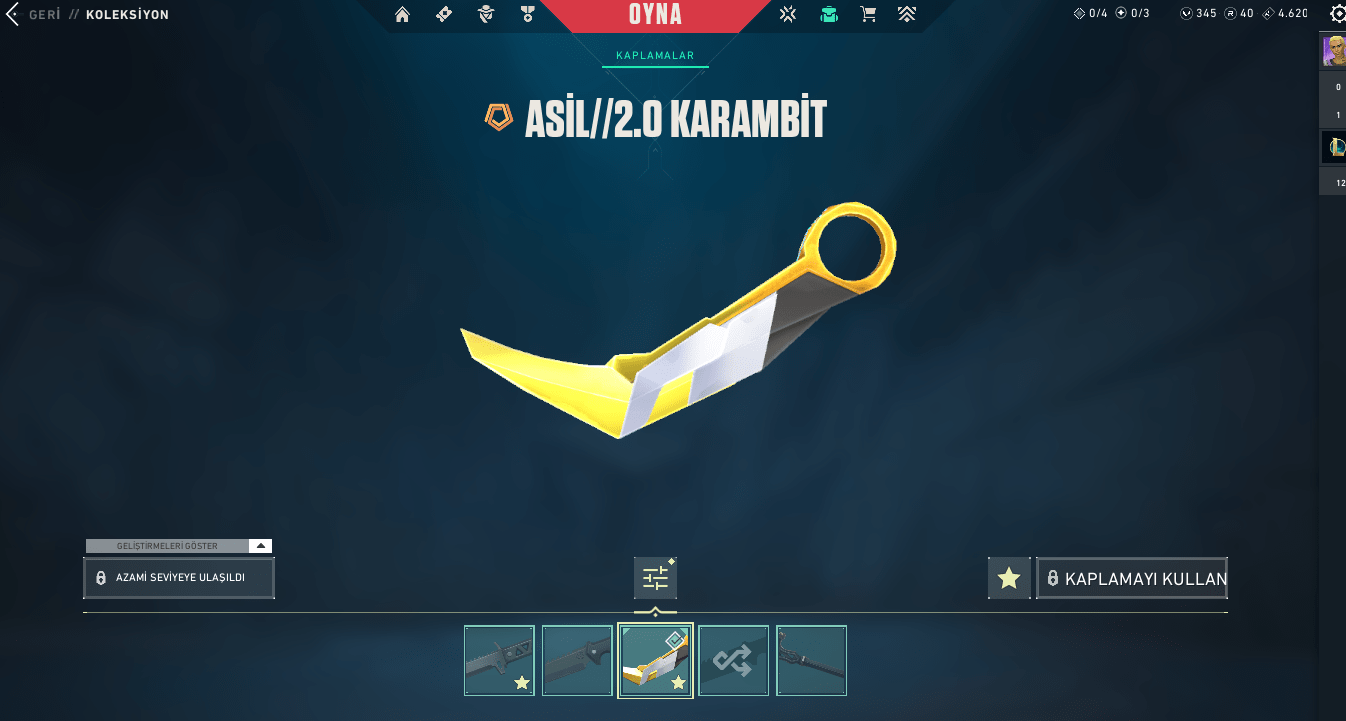 Ekran görüntüsü 2024-05-14 171215.png
