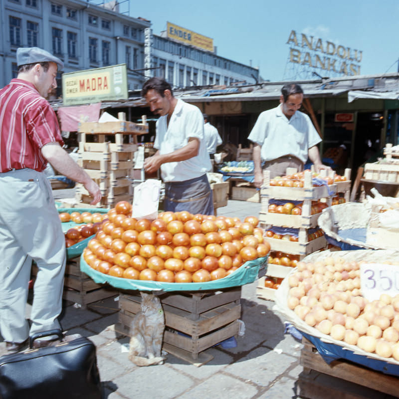 eminonu-ve-esnaf-ve-insanlar-charles-samz-fotografi-1971-1720.jpg