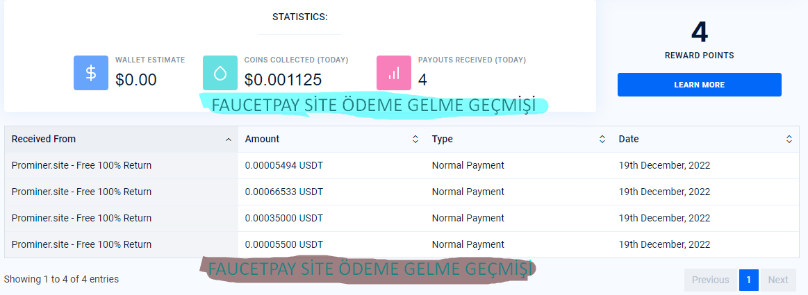 FAUCETPAY SİTE ÖDEME GELME GEÇMİŞİ.png