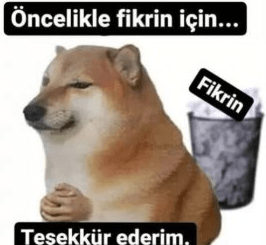 fikrin için teşekkür ederim.png