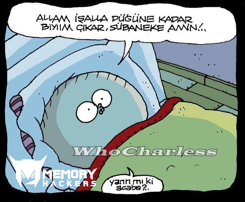 Fırat-Karikatürleri-blogcuabicom-33.jpg