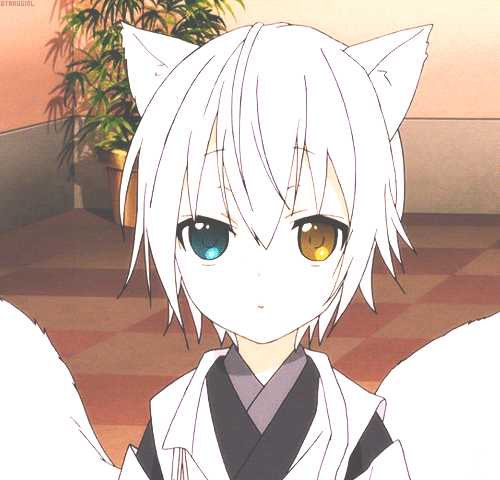 gif5.gif