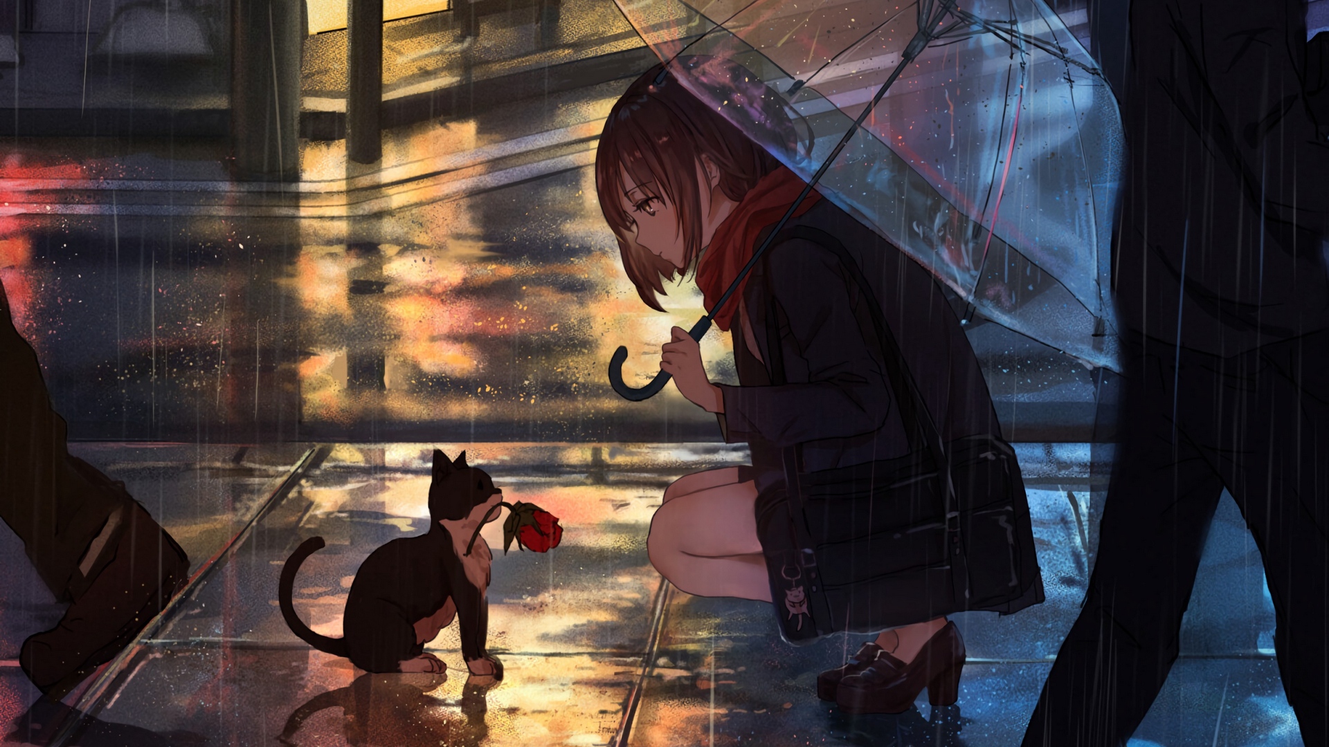 girl_kitten_flower_141058_1920x1080.jpg