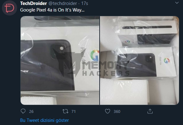 gogle.jpg