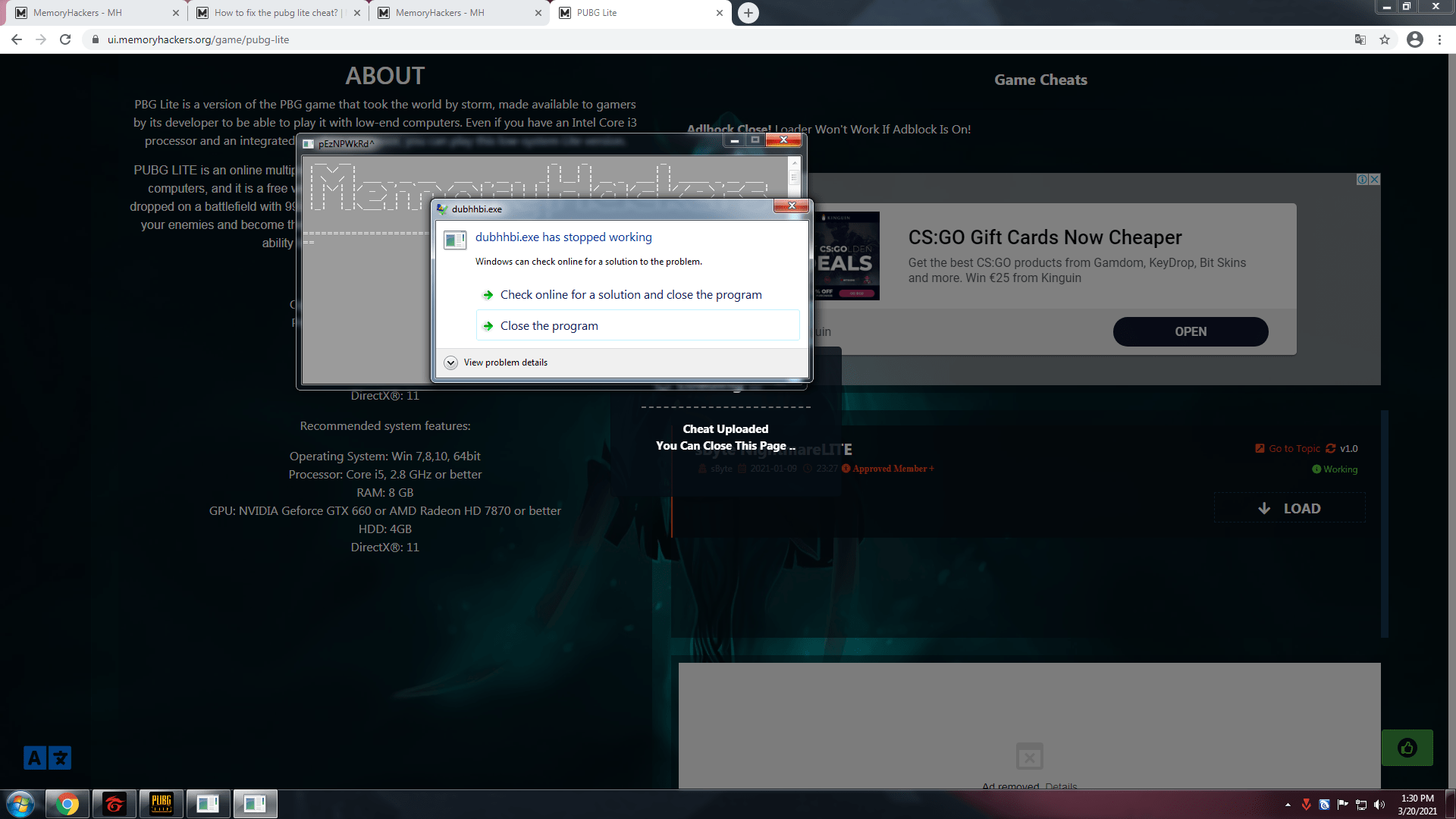hays.png