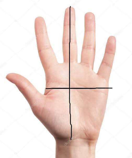 images (6).jpeg