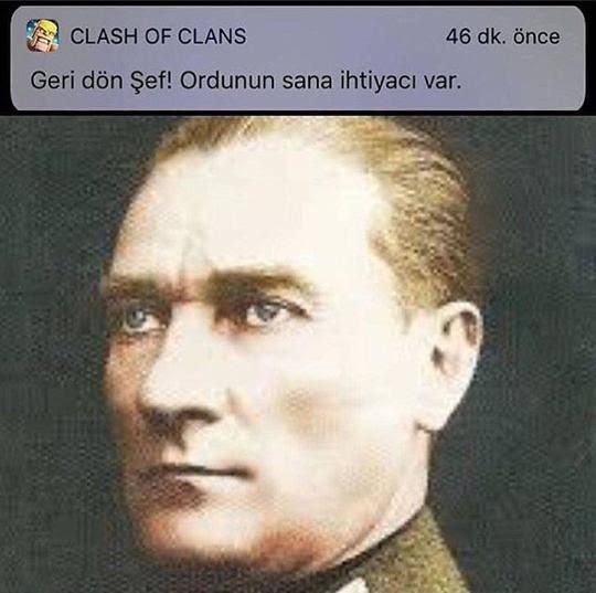 images.jpeg