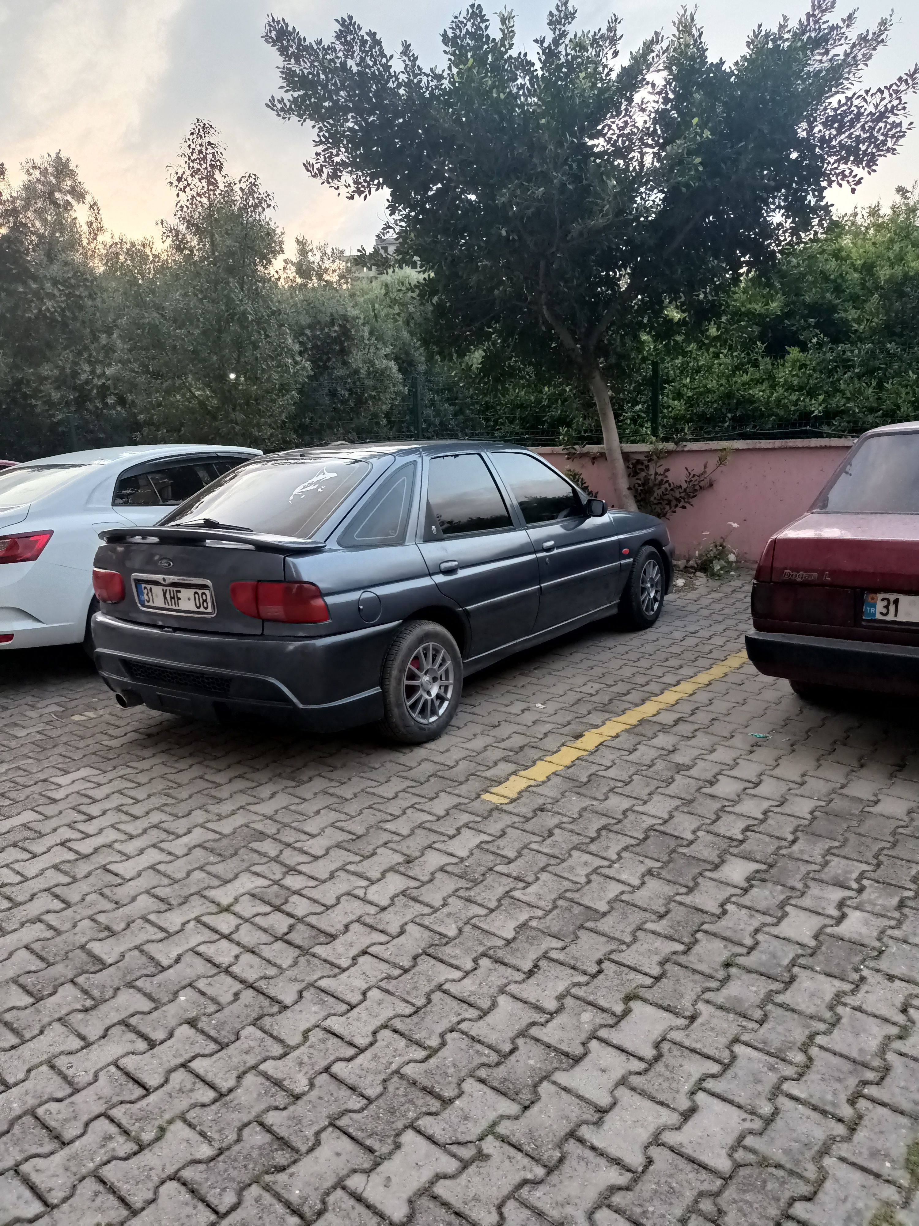 IMG20230424191727.jpg