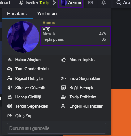 indir.png