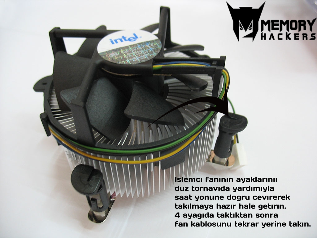 intelöne (2).jpg