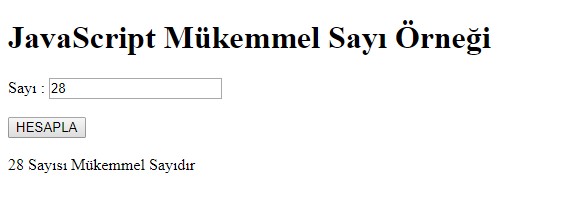js-mukemmel-sayi.jpg