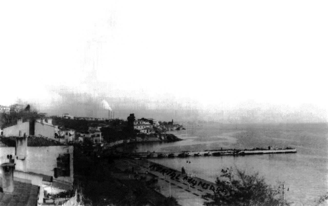 kartal-3591.jpg